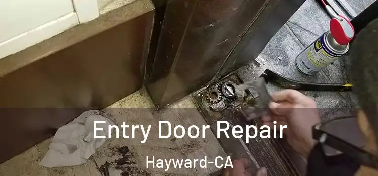 Entry Door Repair Hayward-CA