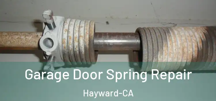 Garage Door Spring Repair Hayward-CA