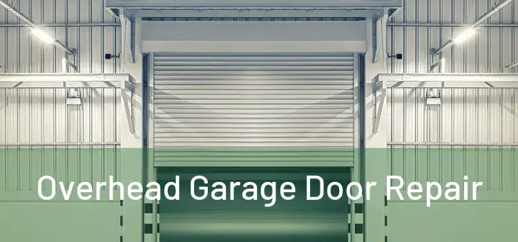  Overhead Garage Door Repair 
