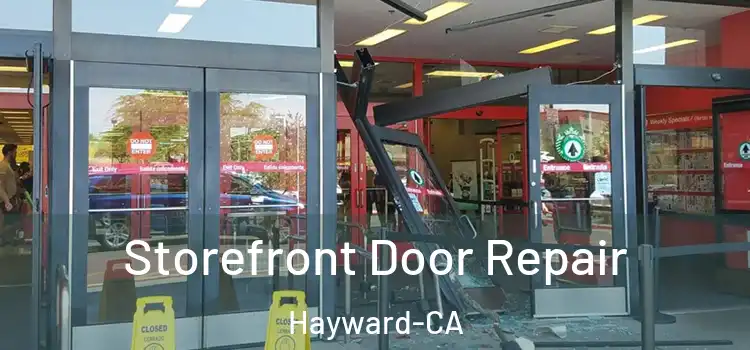 Storefront Door Repair Hayward-CA